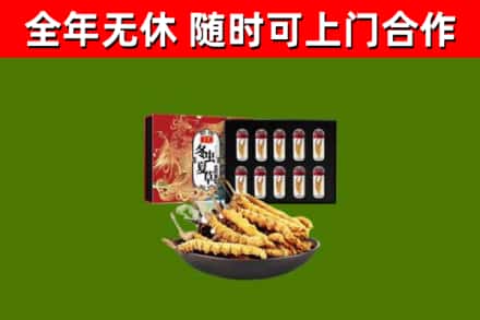 杜集区烟酒回收冬虫夏草礼盒.jpg